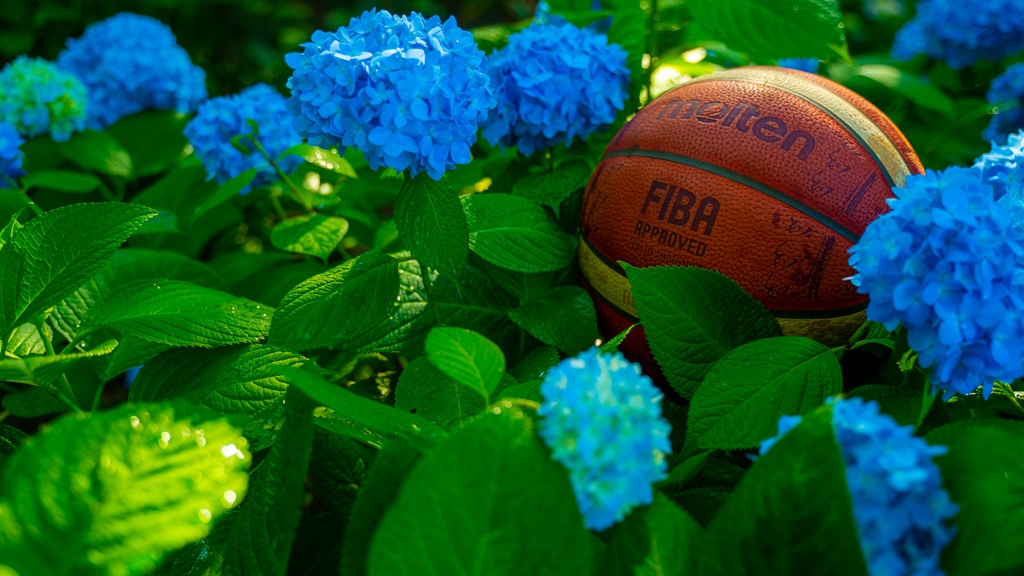 Intensity is not a perfume, but these flowers sure do smell good 🤪
•⁠⠀⁠
•⁠⠀⁠
•⁠⠀⠀⁠
•⁠⠀⠀⁠
⁠⠀⠀⁠
#FIBA #fortherealgame #molten #basketball #sports #stayhoops #bball #ballislife⁠ #nba #stayhoopssocks #dunk #hoops #fitness #sport #sneakers #basketballshoes