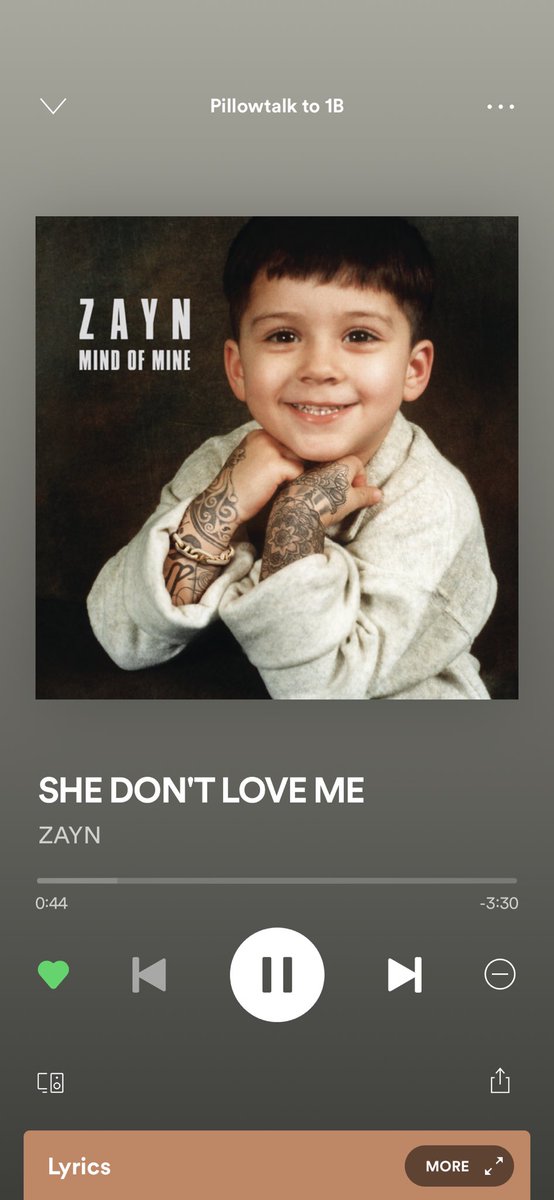 defendzaynn's tweet image. #PillowTalkTo1B 🥵🥵🥵🥵