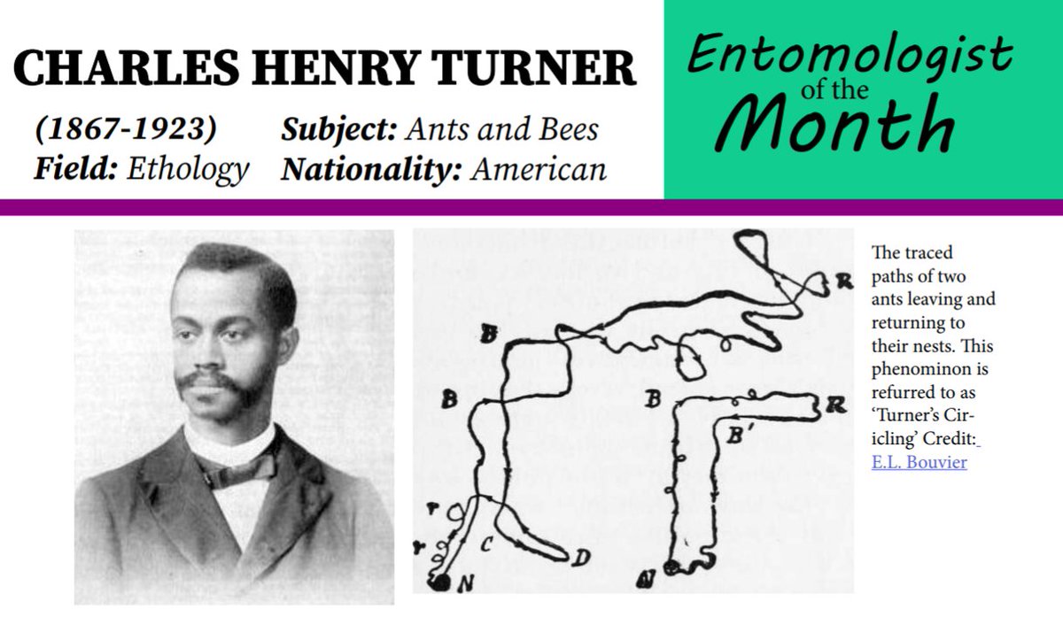 NashTurley's tweet photo. Charles Turner, pioneering biologist who studied bee and ant behavior

More info: https://t.co/1q3KJwcCYT https://t.co/mzFp9Budkq