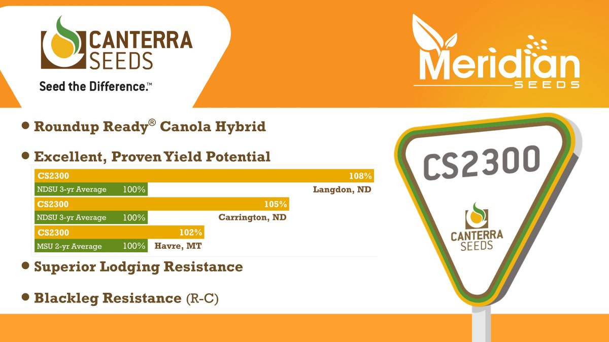 SeedsMeridian's tweet photo. You can expect big yields with CS2300! #CS2300 has proven itself as a high-yielding #RoundupReady #canola hybrid with excellent standability and #blackleg resistance. CS2300 is a swathing variety and a favorite among canola growers. #followtheyieldsign #plant22 https://t.co/Tb43Y3YGtm