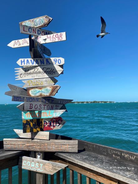 OceanKeyResort's tweet photo. Our Winter Wonderland. Unbeatable ocean views and a never-ending island vibe. Take some time out to chill in sunny Key West.
#oceankeyresort #sunsetpier #letgo #tropicaldistancing #keywest #visitkeywest #floridakeys #visitflorida #lovefl #noblehousehotels https://t.co/1HiQiahSWD