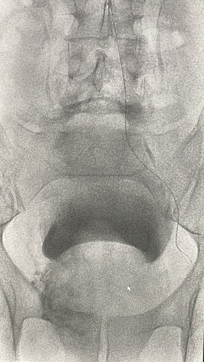 Zaid A H Aldin tweet media