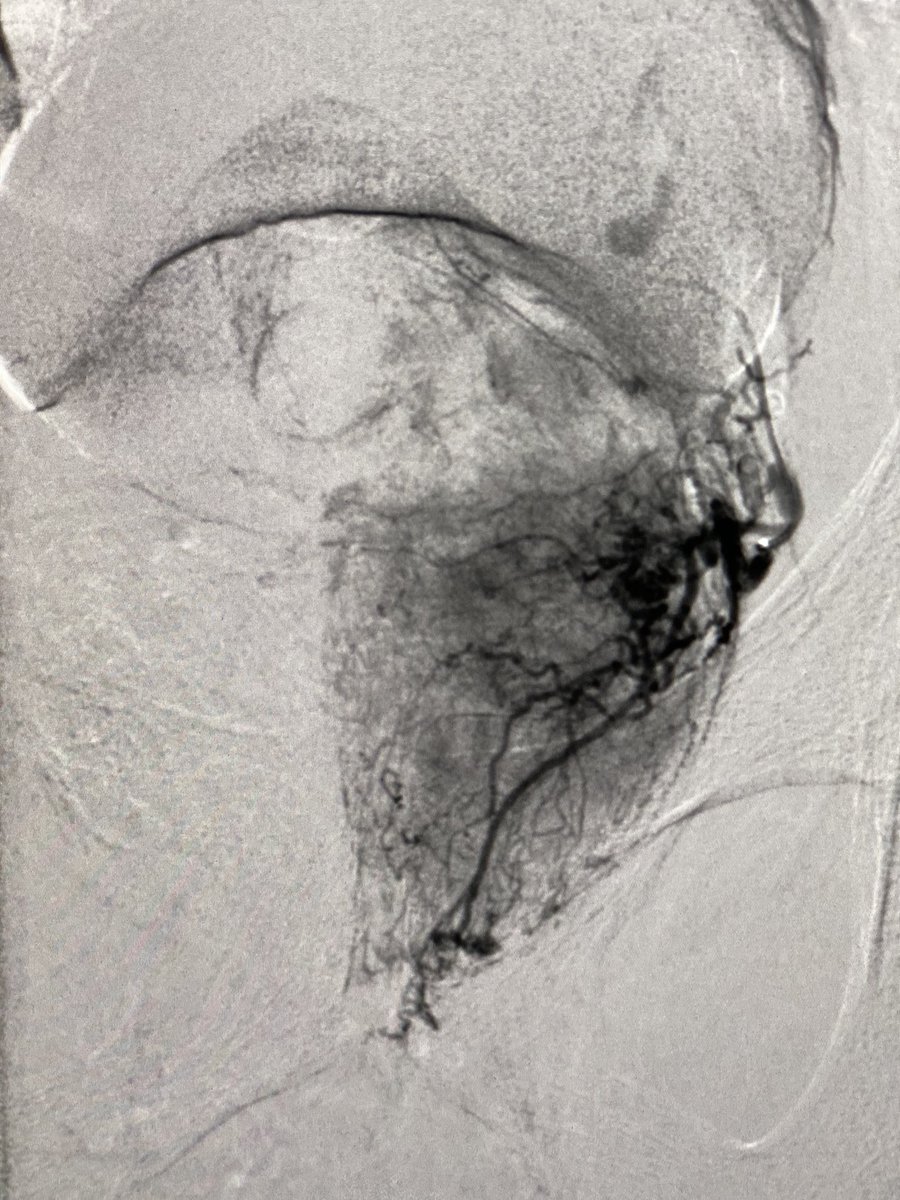 Zaid A H Aldin tweet media