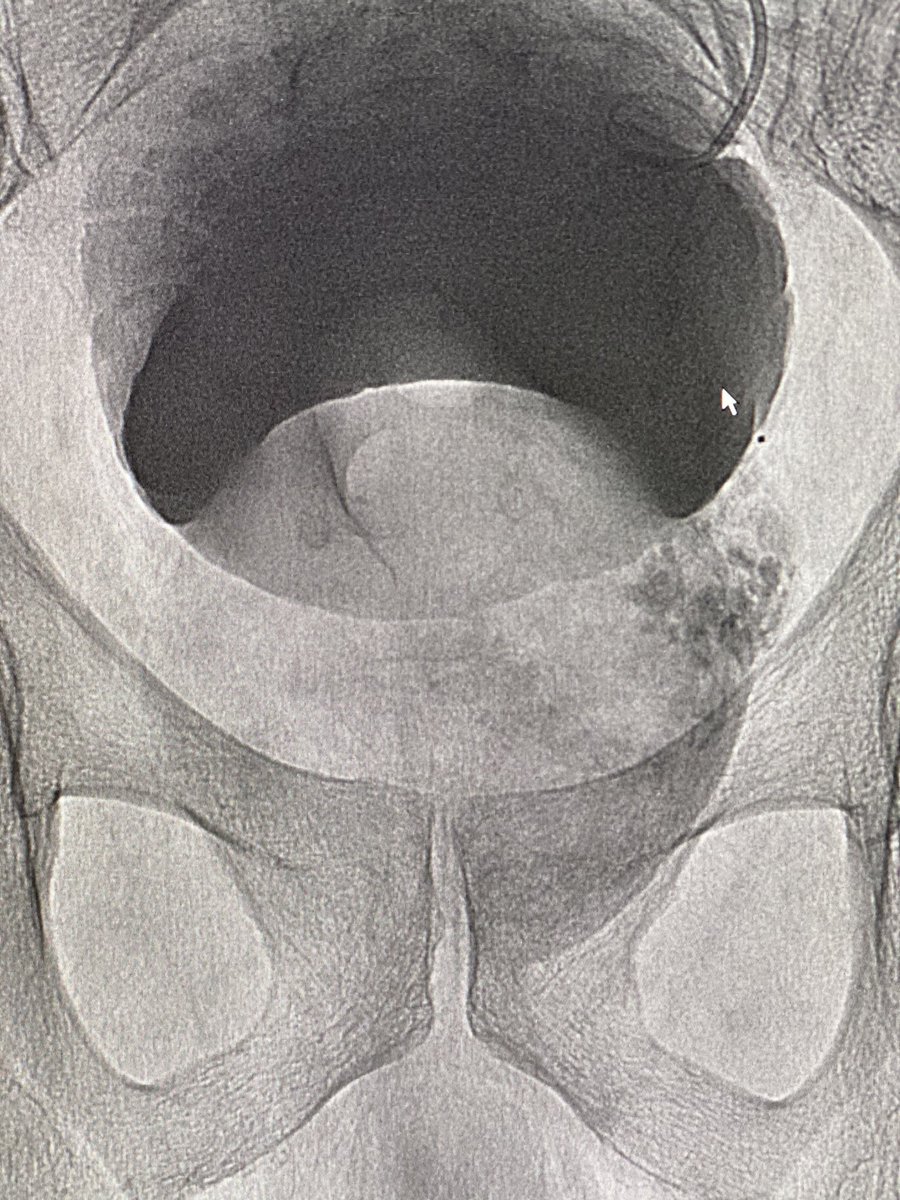 Zaid A H Aldin tweet media