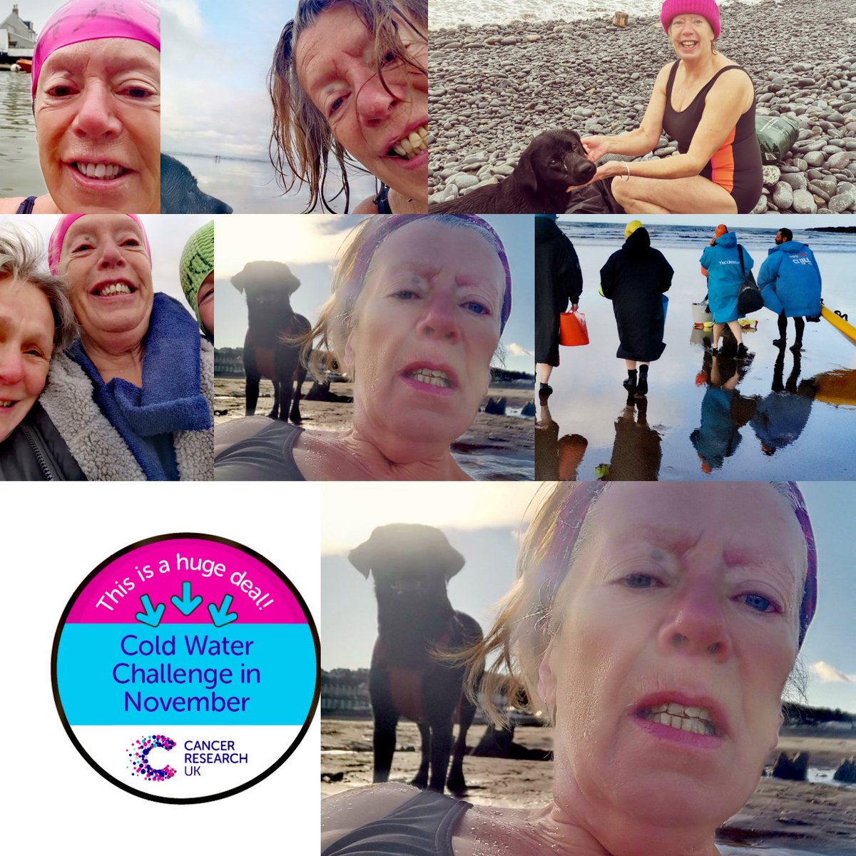 NorthDevonDoes tweet media