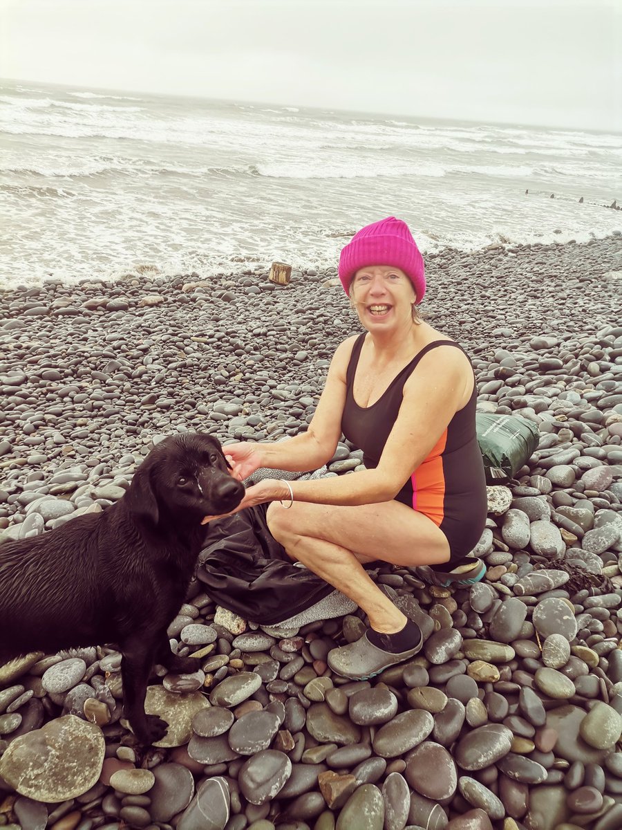 NorthDevonDoes tweet media