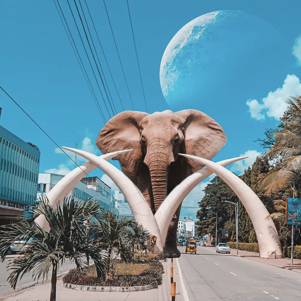 felix_ivayo's tweet photo. Kenya's oldest city is said to be Mombasa. From its magnificent coastline to its rich history, full with stunning sites and thrilling activities. The Fort Jesus, Haller park, Tusks, Nguuni nature sanctuary is a must-see attraction in Mombasa.
This holiday season, don't miss out. https://t.co/fPdjvsb7m0