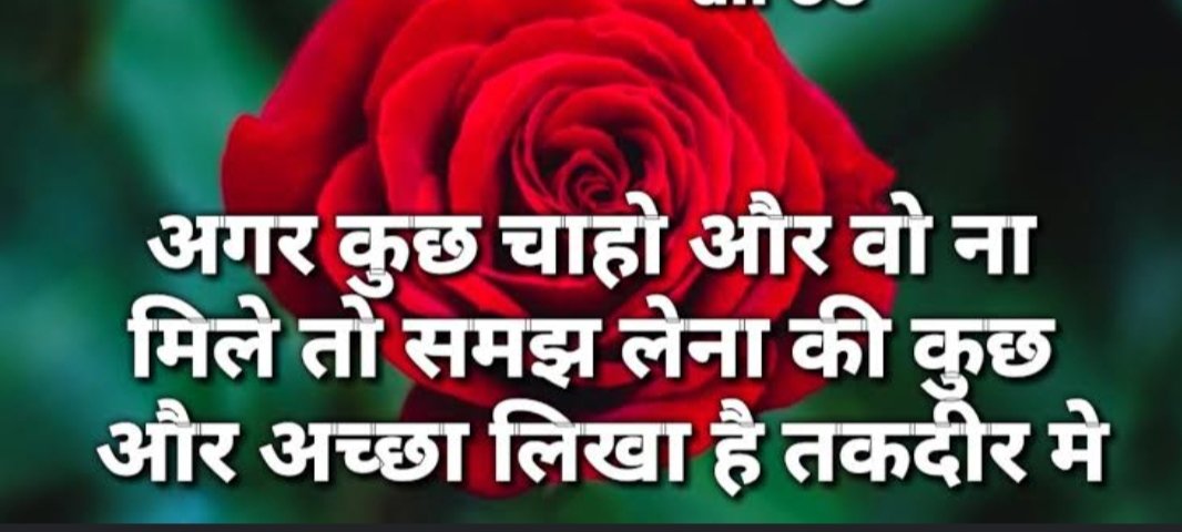 SinghThenidhi's tweet photo. https://t.co/uQKHVDkJXw