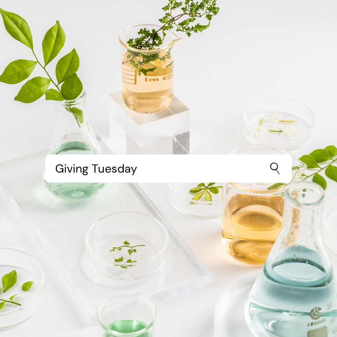 Plastic-Free YYC tweet media