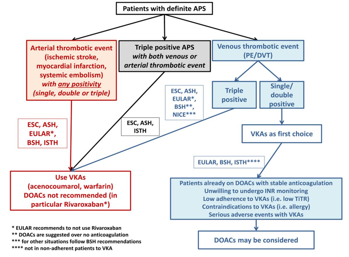 lauraandreoli80's tweet photo. Very useful summary flow chart of the recommendations on the use of #DOACs in #antiphospholipidsyndrome by scientific societies https://t.co/bSlOeDdDCU
