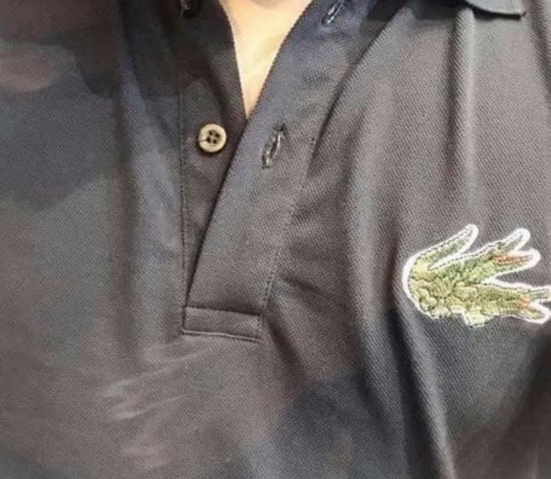 AryanSaraf7's tweet photo. blursed_lacoste https://t.co/xnPFFlWz7q