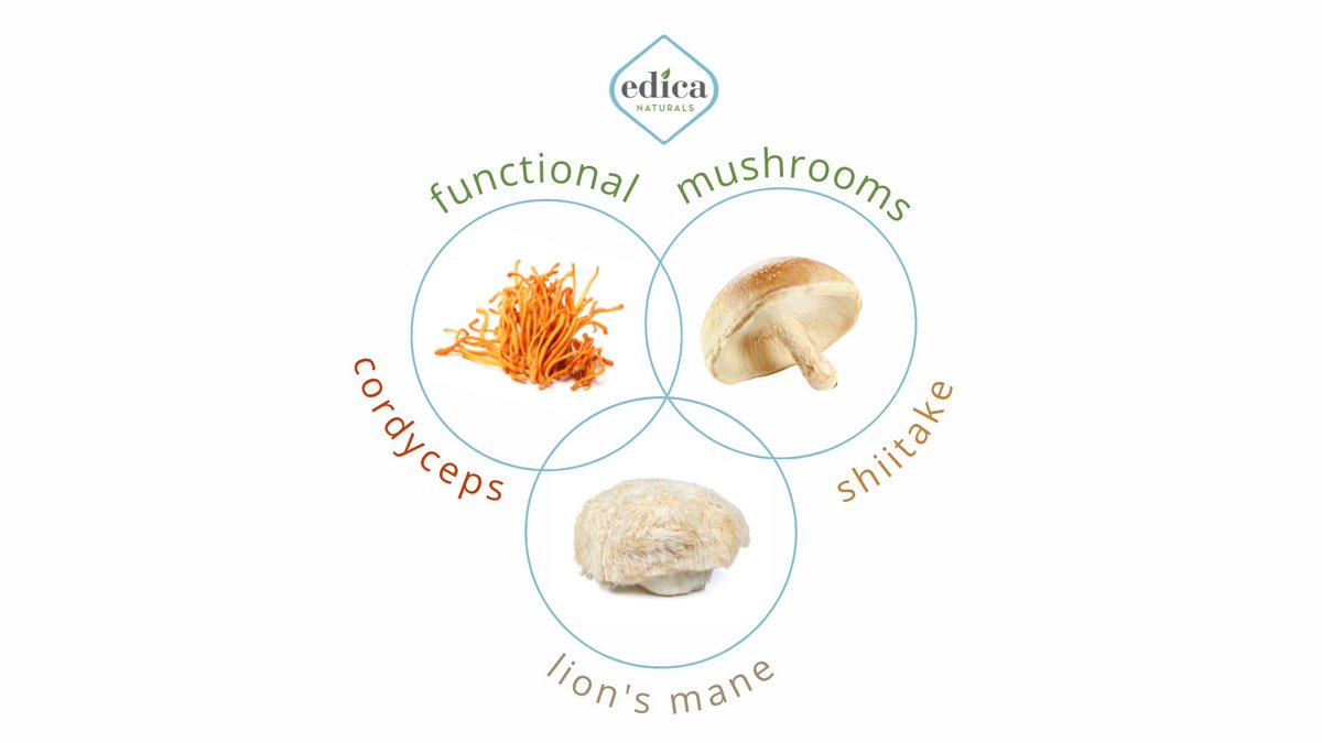 DivineEnergy4U's tweet image. 🌿 Edica Naturals Too-Mush Immune™ is our anti-aging, immunity boosting, cognition enhancing #functionalmushroom formula. 🍄
bit.ly/3G13haN 

#edicanaturals #optimalyou #plantsheal #lionsmanemushroom