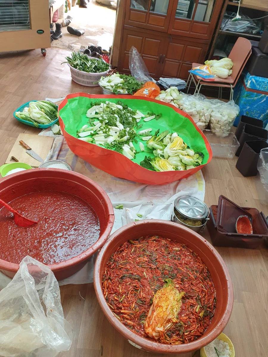 a lot of sauce for kimchi in big plastic tubs and vegs in the background