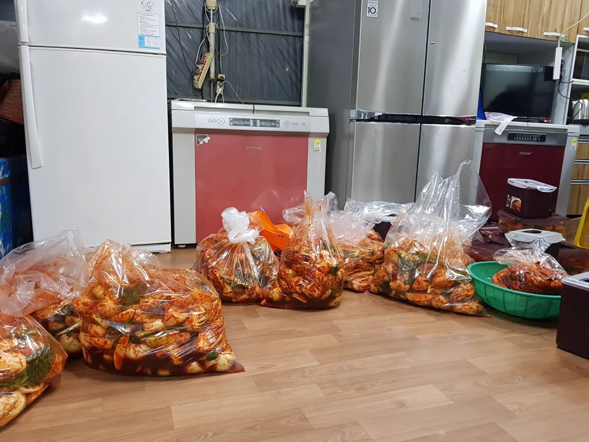 finished kimchi bagged in huge plastic bags in front of 4 fridges