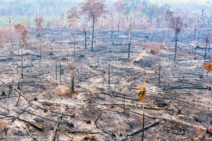 I am frightened scared and angry at the devastating climate change coming our way, that we could have easily avoided had world elite acted years ago and still can avoid the worst if world acts immediately and globally and if I was younger I would be even more frightened and angry