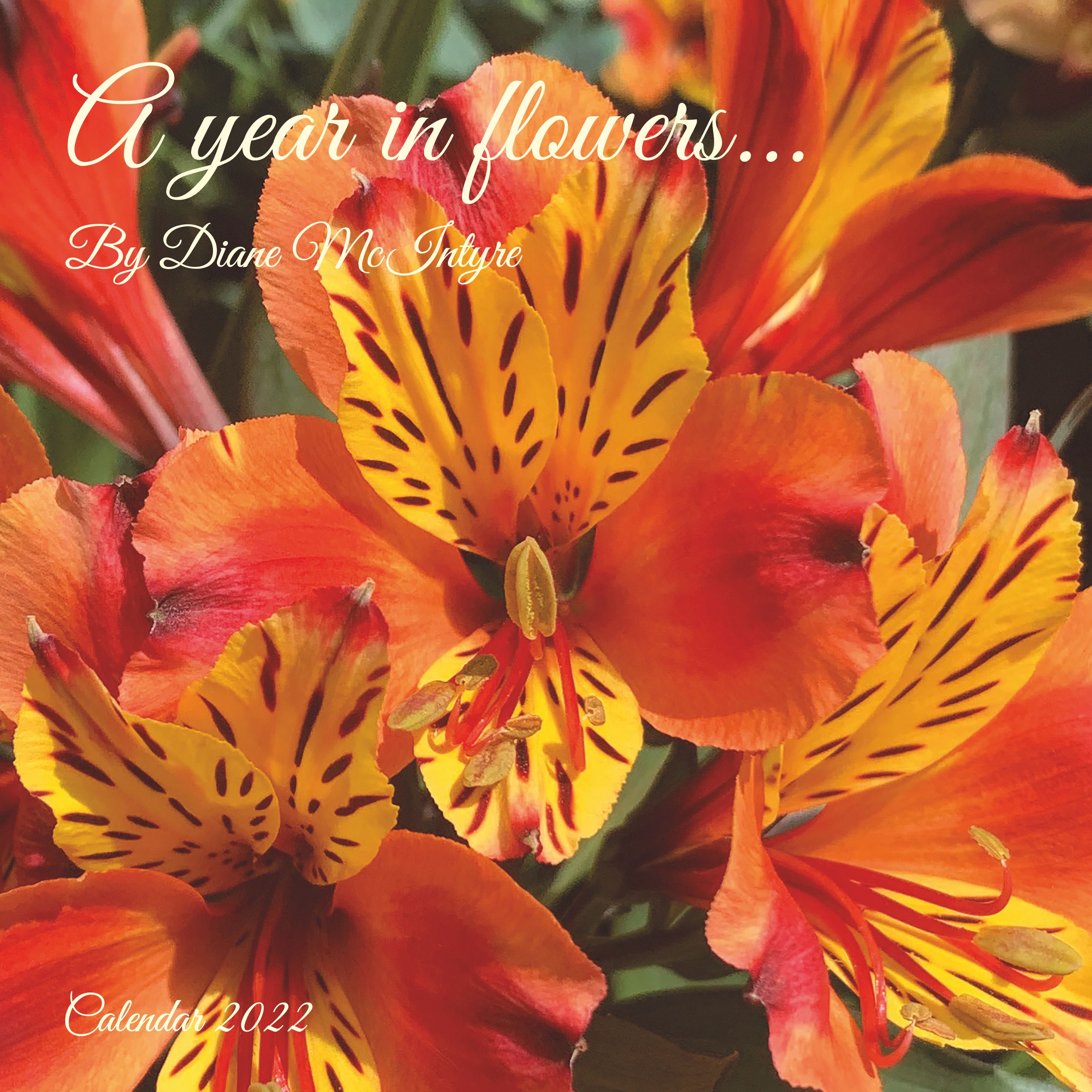 blue diamond garden centres gardencentre twitter