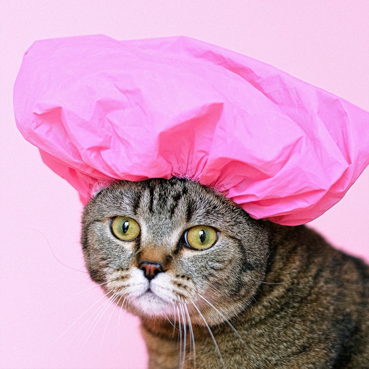 🤔¿No te decides respecto a qué vino servir?   ¡El rosado nos sienta bien a todos!😜  #AmarElVino #winelovers #DistribuidoraVinos #VinosDelNuevoMundo #ImportadoresVino