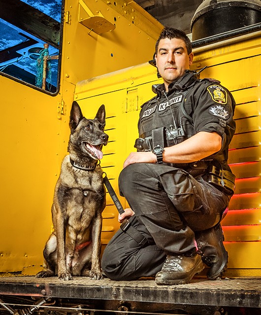 It is with regret, the WPS advises of the passing of former PSD Mya on Nov 26, 2021. 
PSD Mya was trained and worked as a Specialty Narcotics detector dog with two different handlers during her tenure. She was also an integral part of the WPS litter program. Mya retired in 2019.