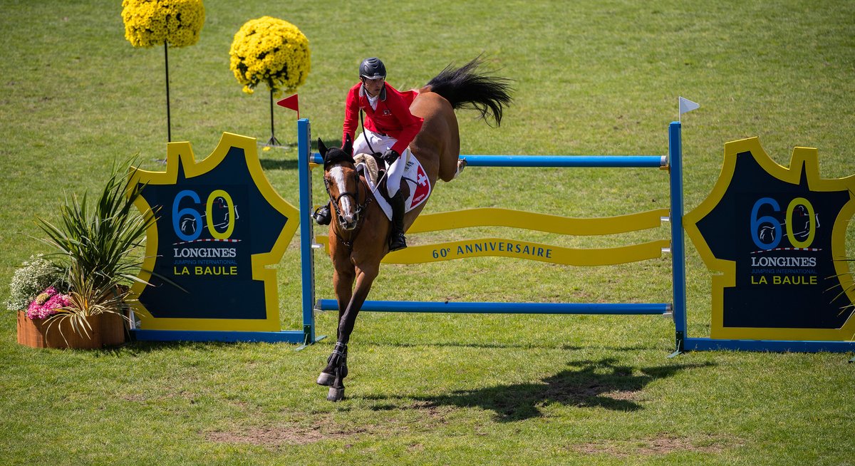 ClassHorseTV's tweet photo. 🟢 From 2022, CSIO Jumping International of La Baule will partner up with @ROLEX and leaves the @Longines FEI Nations Cup Series 🐴
🔜 On Friday May 6 2022
🔗https://t.co/M6FAoU62O0
#CSIO5 #LaBaule #GrandPrix #FEINationsCup #Jumping #Showjumping #France #Equestrianshow https://t.co/GddKzXXk0Q