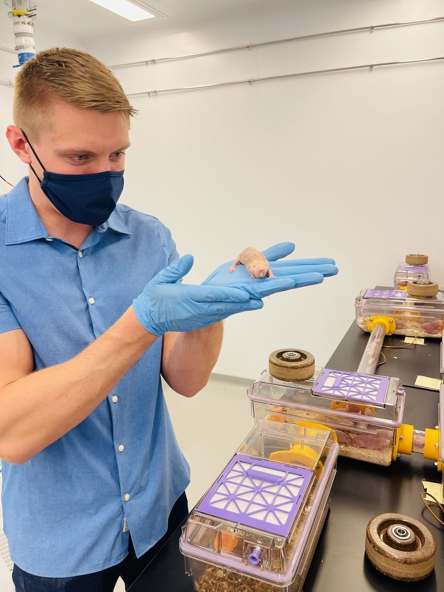 Ishmail Abdus-Saboor tweet media