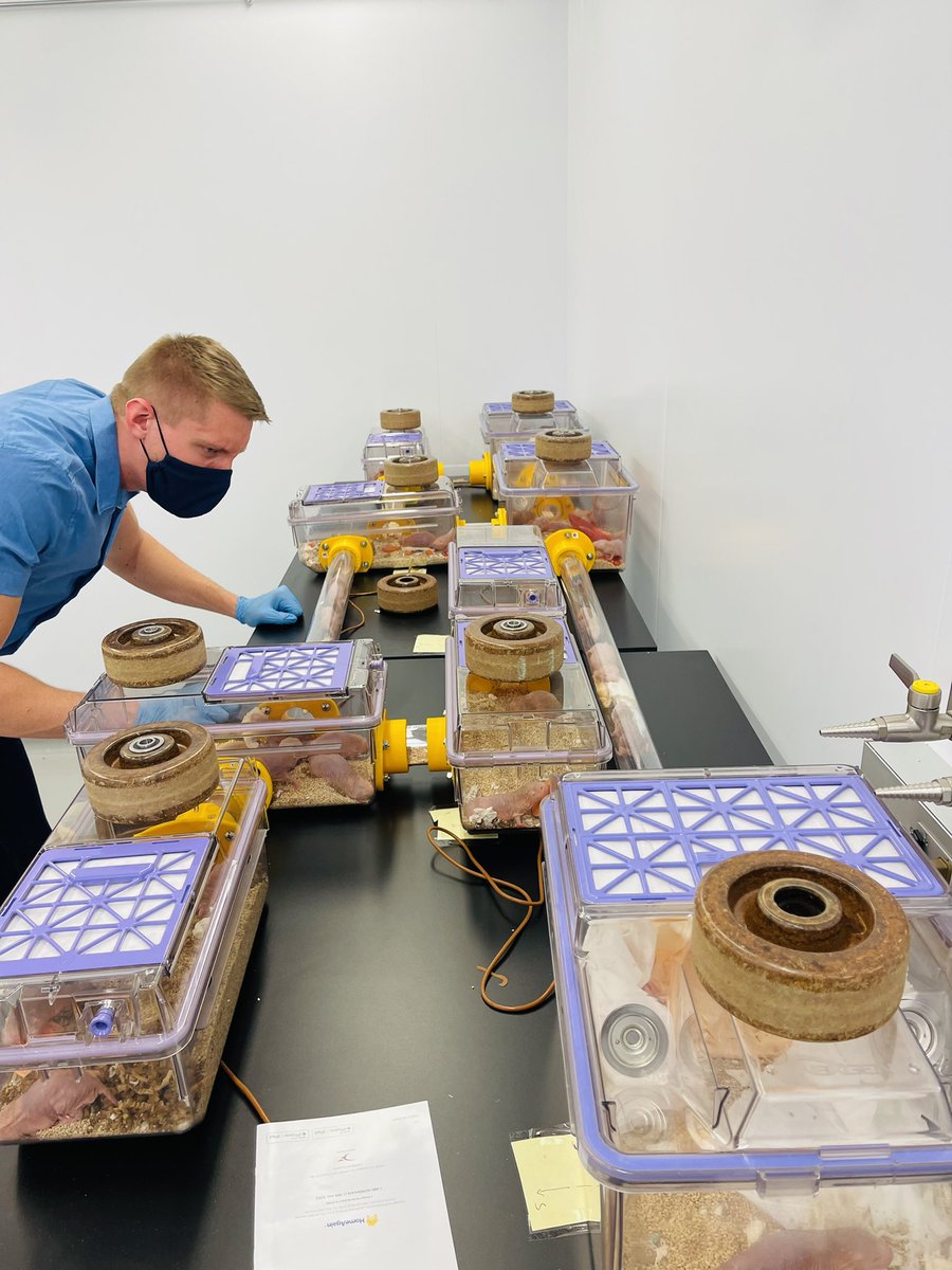 Ishmail Abdus-Saboor tweet media