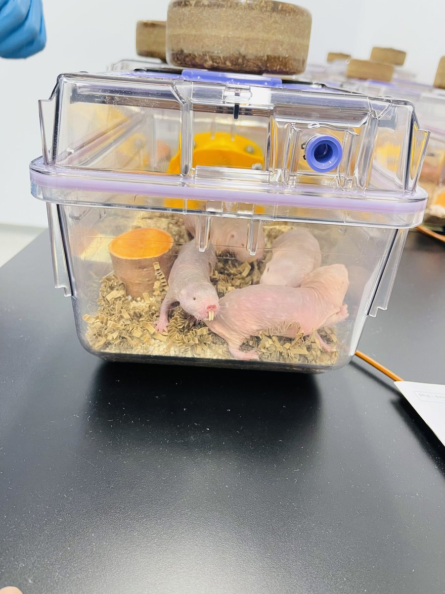 Ishmail Abdus-Saboor tweet media