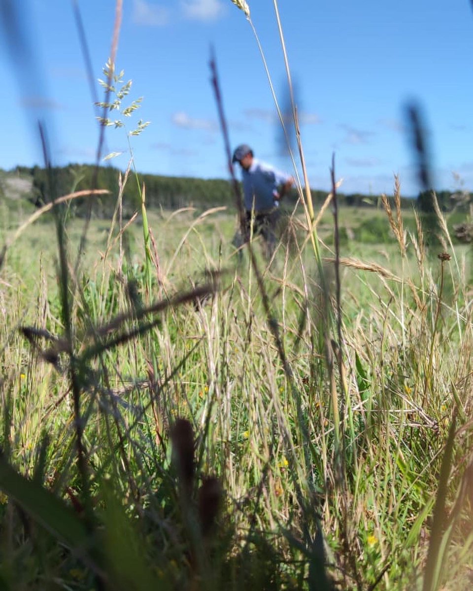 Pampa Oriental tweet media