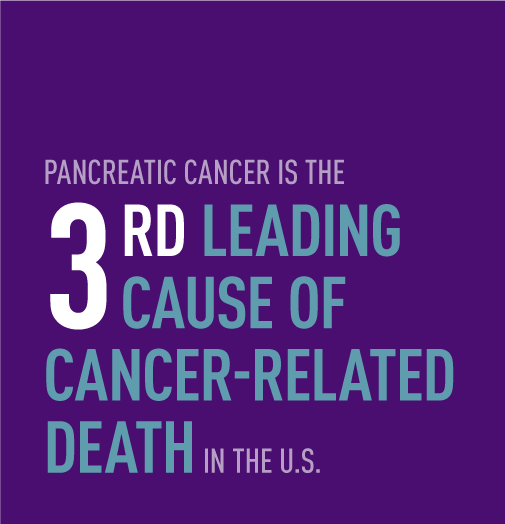 PCAWNY's tweet photo. You walked with us over our 3 week Step It Up! Cure Pancreatic Cancer event &amp; now let's ROC together to support research, patients (&amp; their families) fighting this disease &amp; change the statistics so we can celebrate life with more survivors. https://t.co/vmgPDoSDwh https://t.co/8hZr8sk2JM