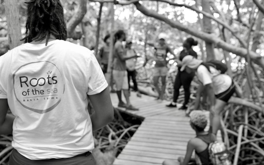 EcoFredly's tweet photo. #GivingTuesday Last year I co-founded an NGO in Martinique with the aim to protect Coastal and Marine ecosystems through education, training, and direct conservation. #BIMSWeek

🙏🏿Support us: https://t.co/7Rt8HK9Z7E 
💙Follow our work on Instagram: https://t.co/lU8OAnVce2 https://t.co/FgvYjstX2y