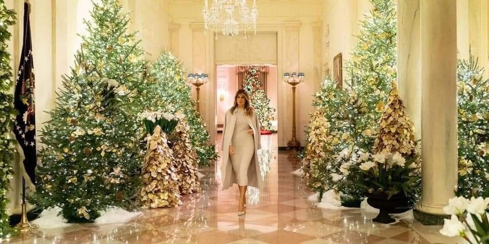Sassychickie's tweet photo. Elegence...Vs...Garbage. https://t.co/m5e5aIMEZe