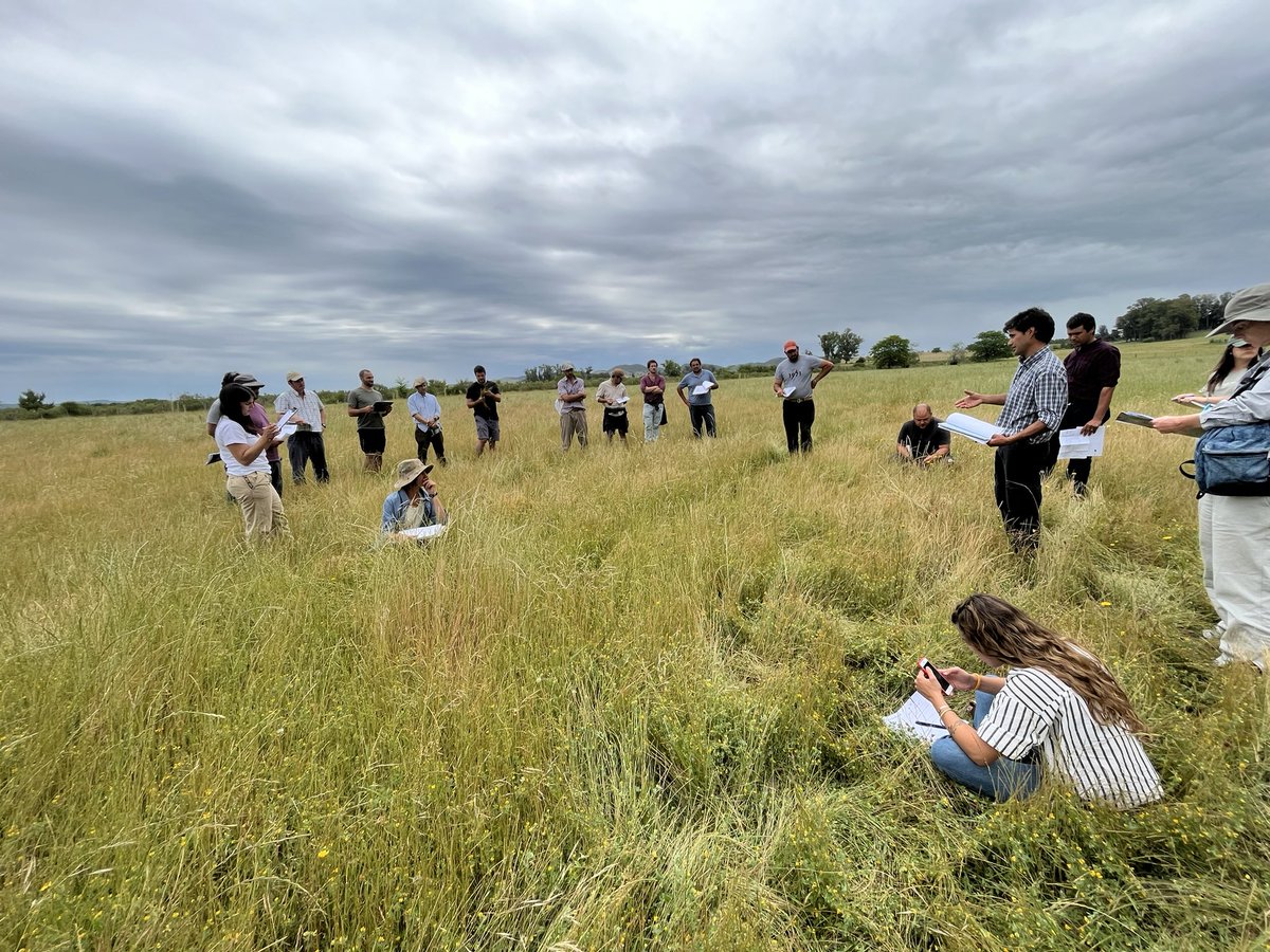 Pampa Oriental tweet media