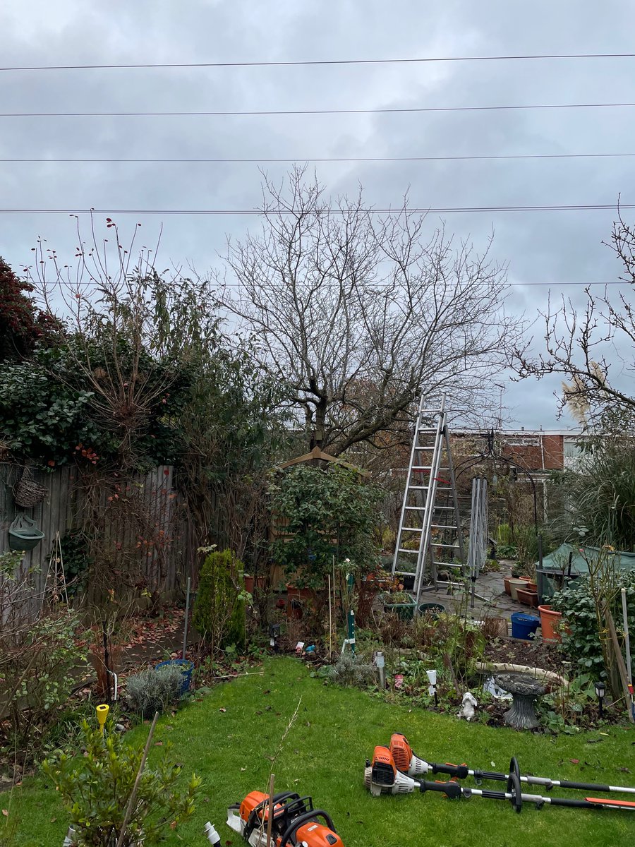 Nice little reduction to get the day started.
See more @ arb-aid.co.uk
#treesurgeon #arborist #landscape #Coventry