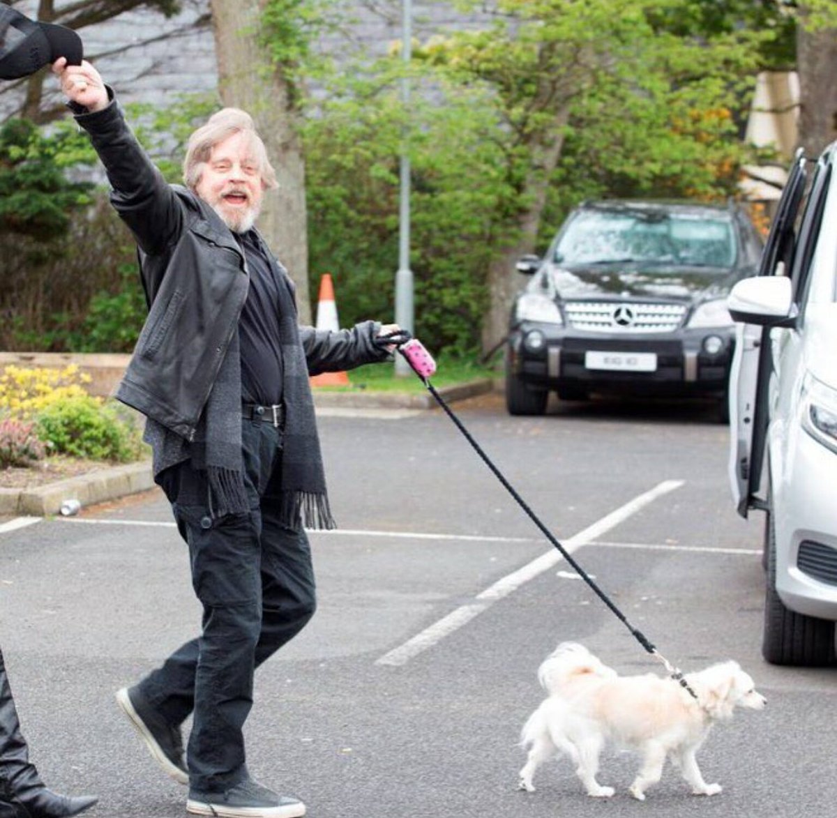 @HamillHimself <a href="/MarilouHamill/">Marilou Hamill</a> <a href="/NathanHamill/">Nathan Hamill</a> <a href="/ChelseaHamill/">Chelsea Hamill</a> Happy birthday to so wonderful #Milie  ❤️🎂💐💐💐💐