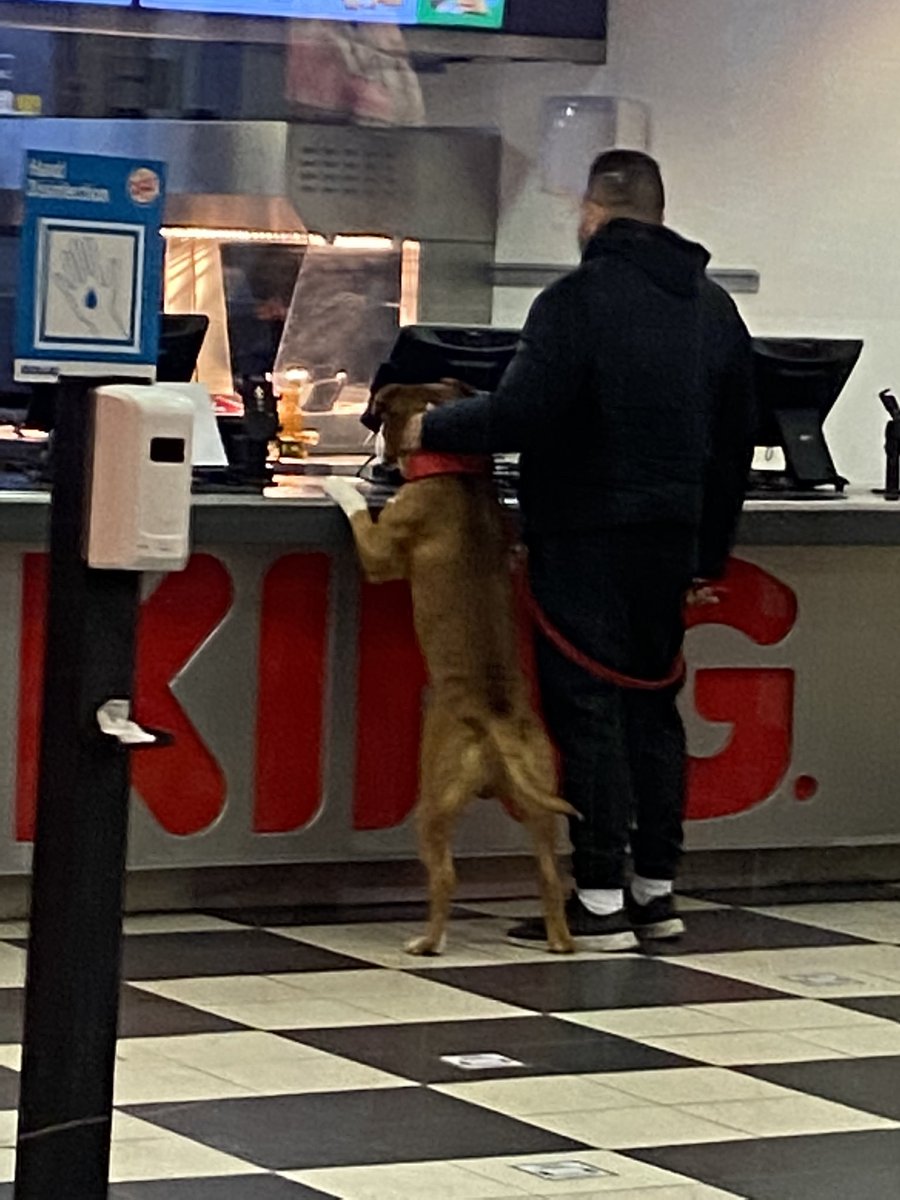 evalenciagaa's tweet photo. un menu whopper là pour commencer https://t.co/mEYD8qKlJ7