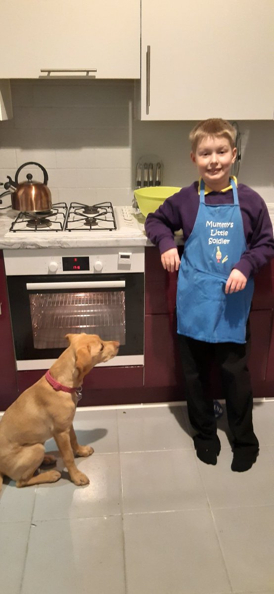 AbiFJ's tweet photo. @NPS_MrsT help from Daisy dog! Looking forward to them cooling down 😊 https://t.co/cZN1XFUKDr