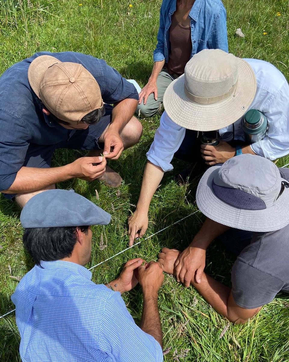 Pampa Oriental tweet media