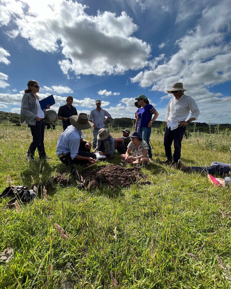 Pampa Oriental tweet media