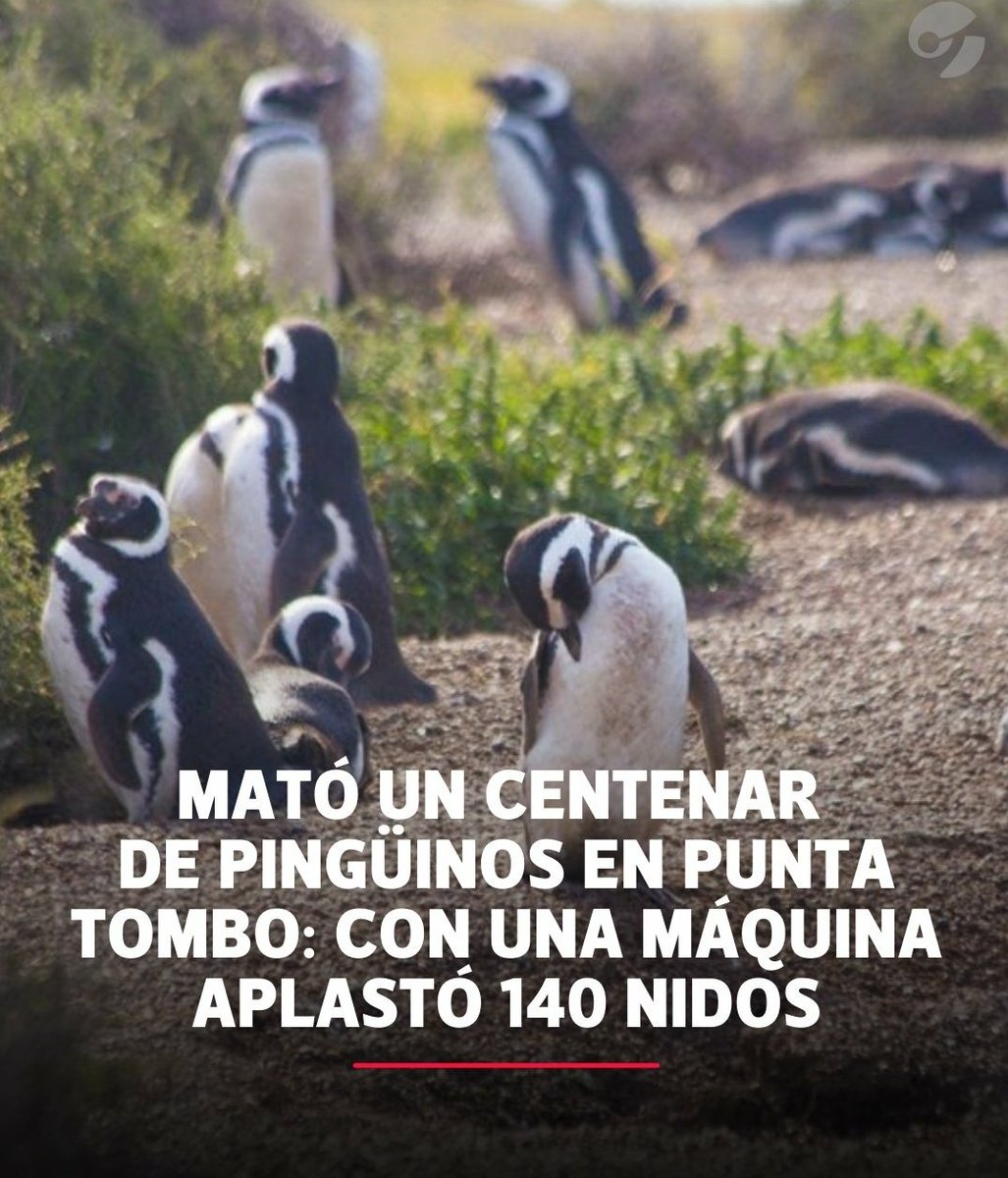 PaioBono's tweet photo. El crimen // el criminal https://t.co/vq8FcVPYhL