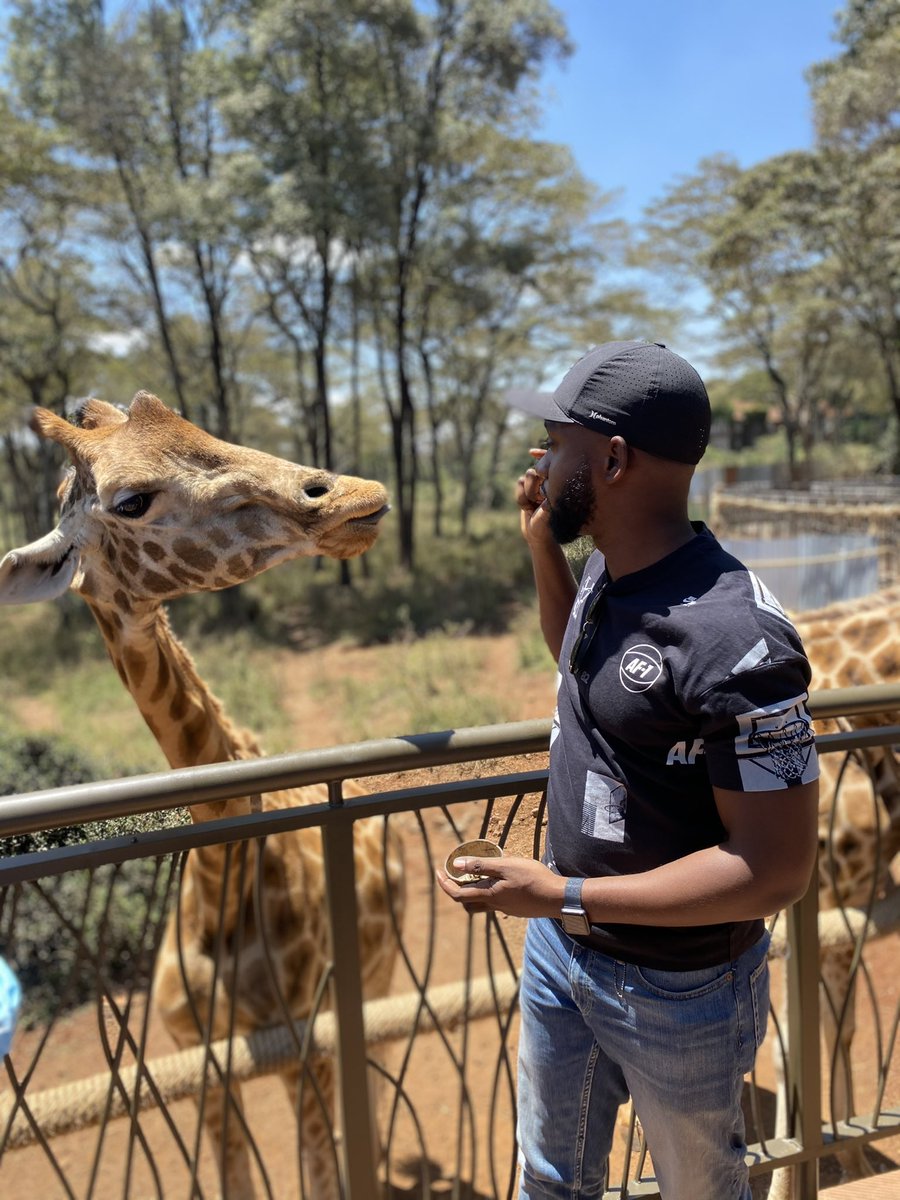 Jórginhõ tweet media