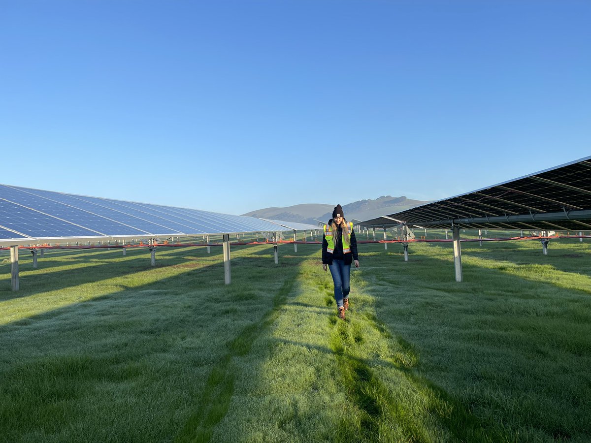 solar_cheese's tweet image. Beyond grateful that this is part of my job. @RPCSInc #buildingbrightfields