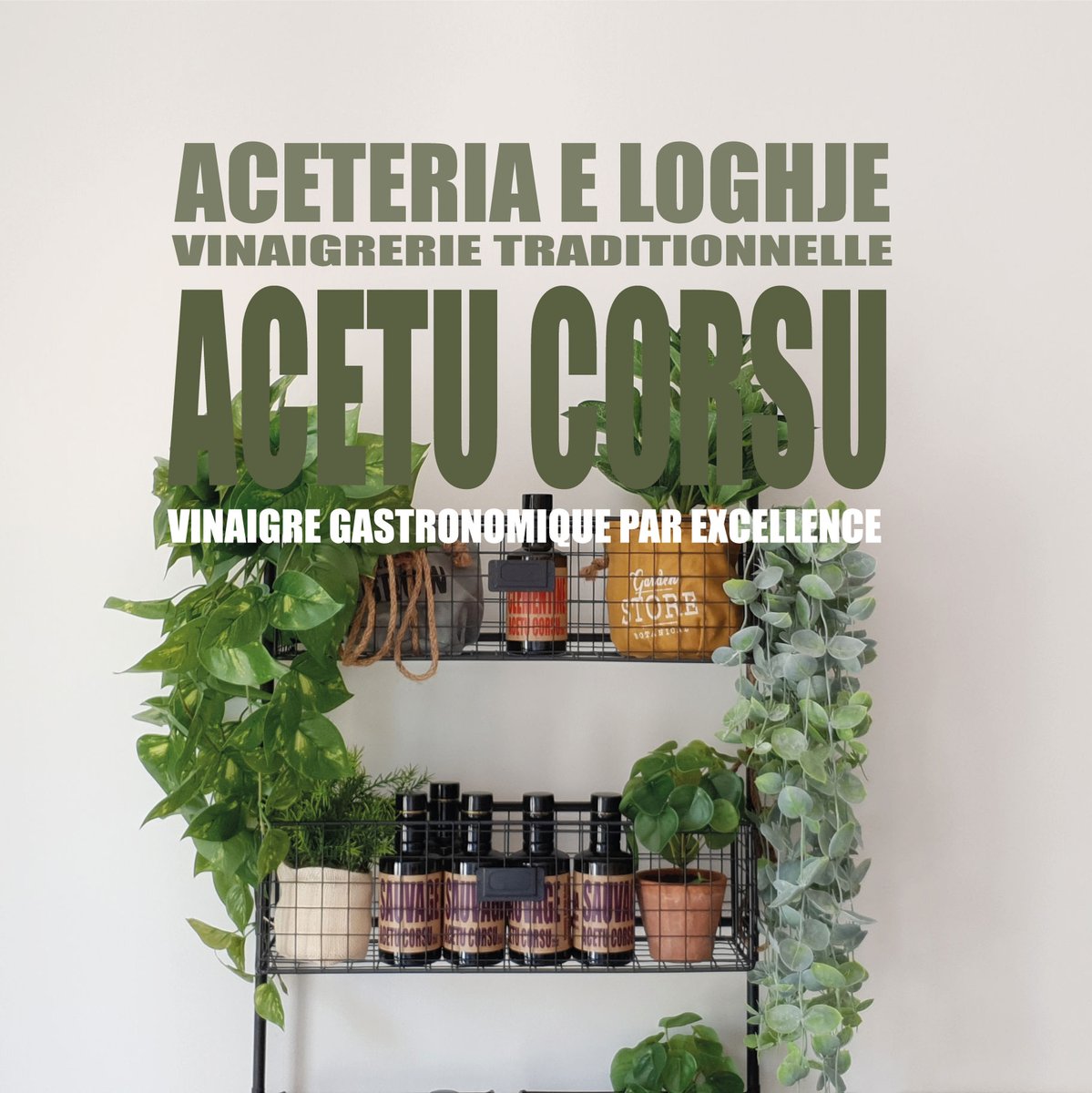 🍽  Avis aux gastronomes, venez découvrir des vinaigres produits localement, aux saveurs atypiques : clémentine, figue de barbarie, mûre sauvage... 🍊

🧑‍🍳 De quoi donner un peu d'originalité à n'importe quel plat !

Rencontres Agri'Sgniani du 3 au 5 décembre, Vescovatu