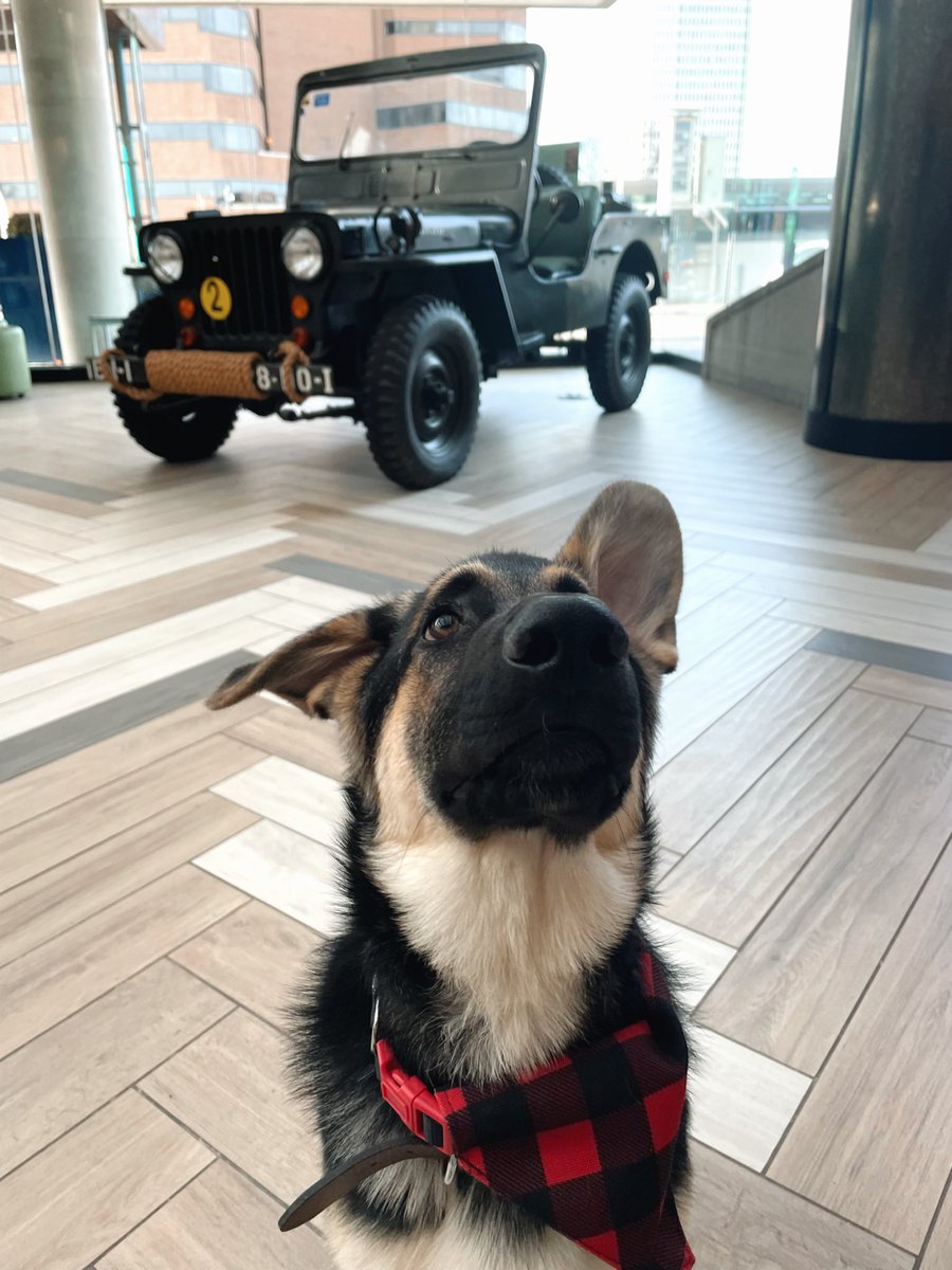 Traveling with a pet this holiday season? We can’t wait to meet them ❤️ 

#RenaissanceToledo #RenHotels #petfriendly #DiscoverToledo