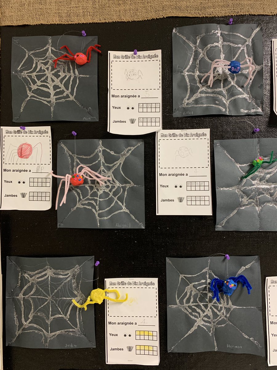 Curiosities grew when Ss were visited by a spider in the garden. We wondered “how do spiders shoot out webs?” “where do they get les couleurs?” we investigated these questions in our spider inquiry  <a href="/gilmoregriffins/">James Gilmore</a> #sd38learn