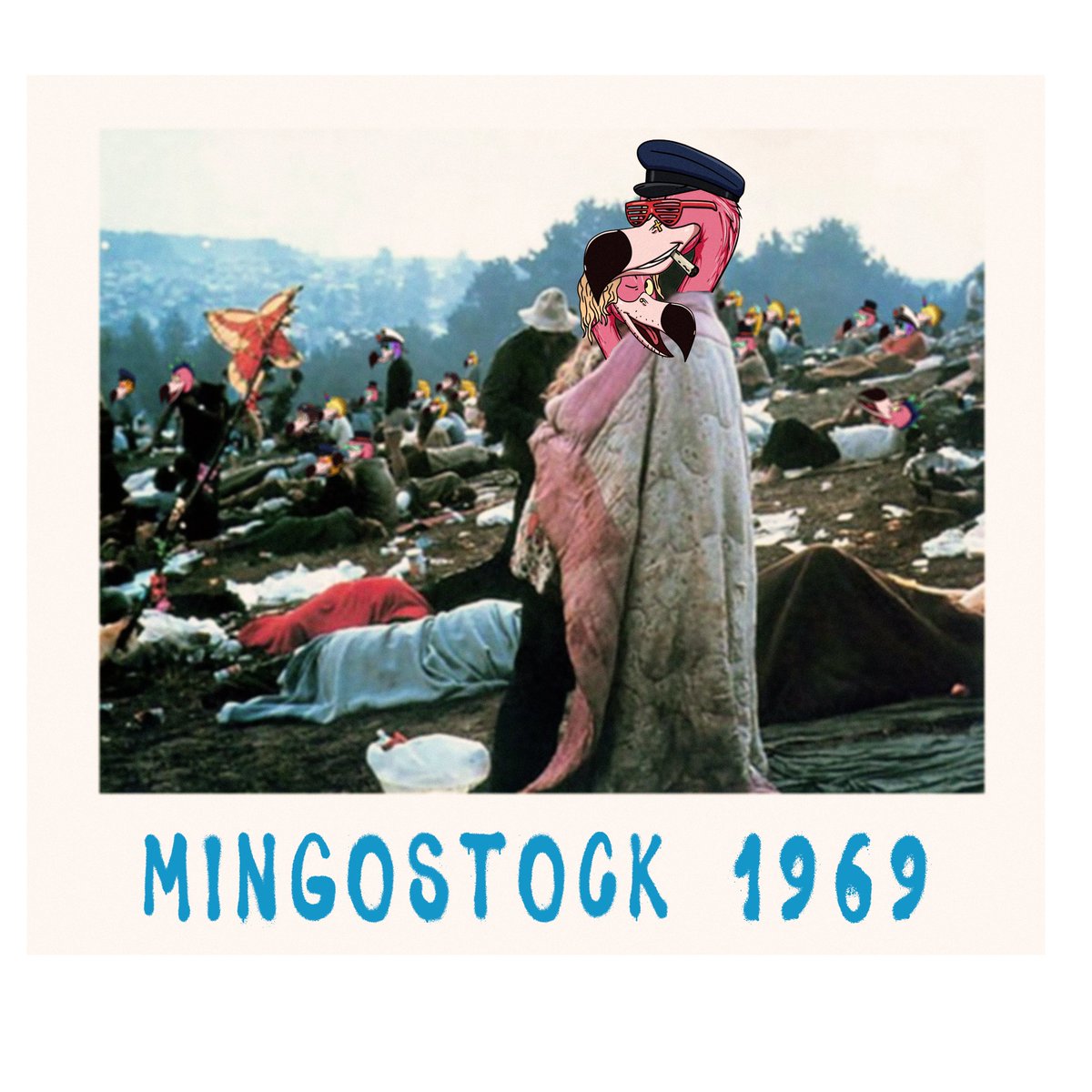 Flashy Flamingos tweet media