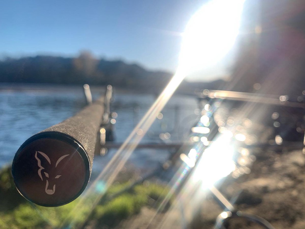 JMDiTullio's tweet photo. « Toute technique, quelle qu’elle soit, n’est que vaine et inutile, si elle ne se fonde sur l’imagination et le rêve… »
(Eddy Zauner)
Bonne soirée les gens.
#PêcheNoKill #PêcheDeLaCarpe #Fox #FoxPêche #FoxFx11 #FoxFx13 #CanneFox #Anatec #Amiaud #Starbaits #amiaudpeche https://t.co/MY8W8lq1j5