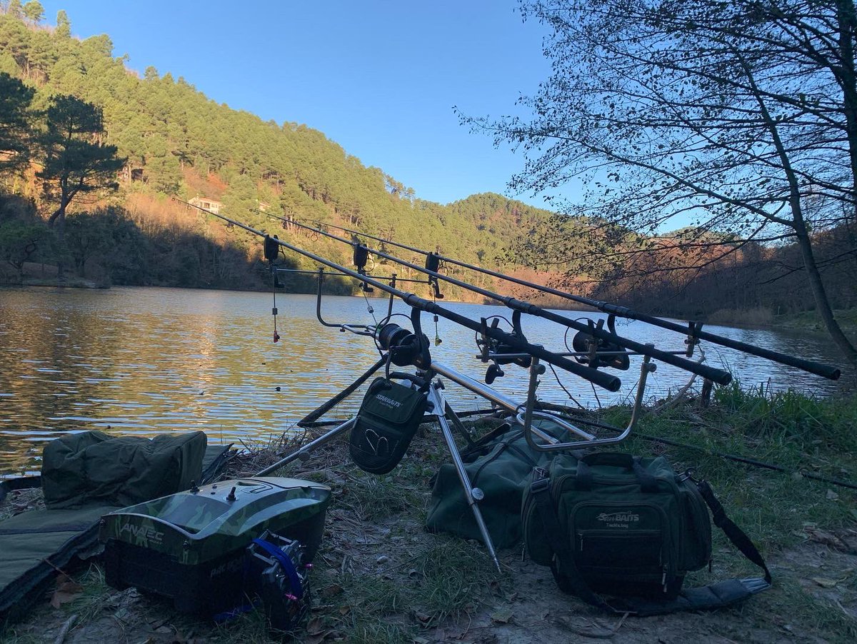 JMDiTullio's tweet photo. « Toute technique, quelle qu’elle soit, n’est que vaine et inutile, si elle ne se fonde sur l’imagination et le rêve… »
(Eddy Zauner)
Bonne soirée les gens.
#PêcheNoKill #PêcheDeLaCarpe #Fox #FoxPêche #FoxFx11 #FoxFx13 #CanneFox #Anatec #Amiaud #Starbaits #amiaudpeche https://t.co/MY8W8lq1j5