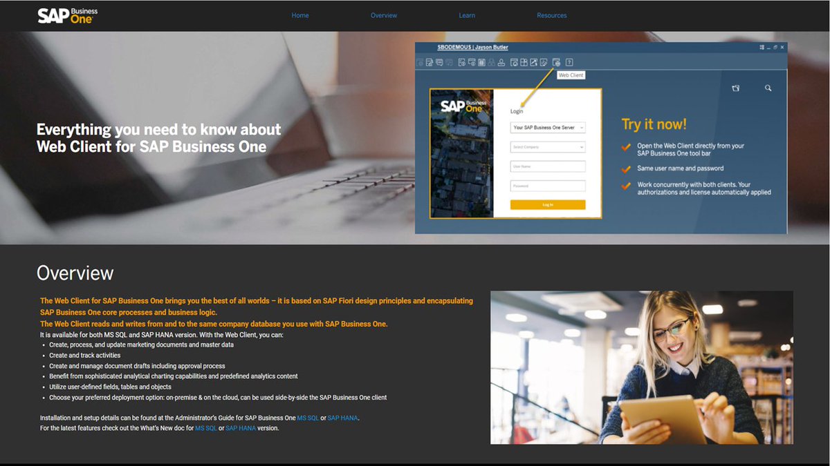 sap business one login