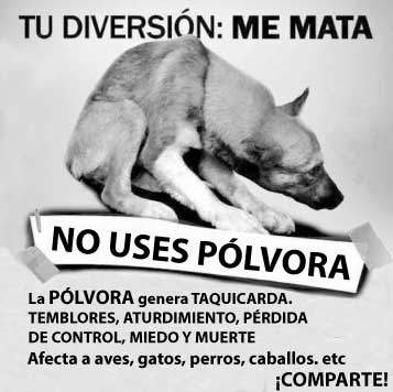 Plataforma ALTO tweet media