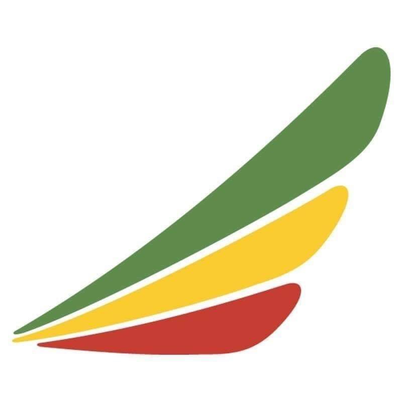 SolomonMKassa's tweet photo. I am inviting @flyethiopian to join this campaign! #EthiopianAirlines can also use the #GreatEthiopianHomeComing and offer a discount on their ticket for this trip. The sale campaign can be called The Great Ethiopian Home Coming discount! :) #NoMore 💚💛❤️ https://t.co/SBNJTpiRcF