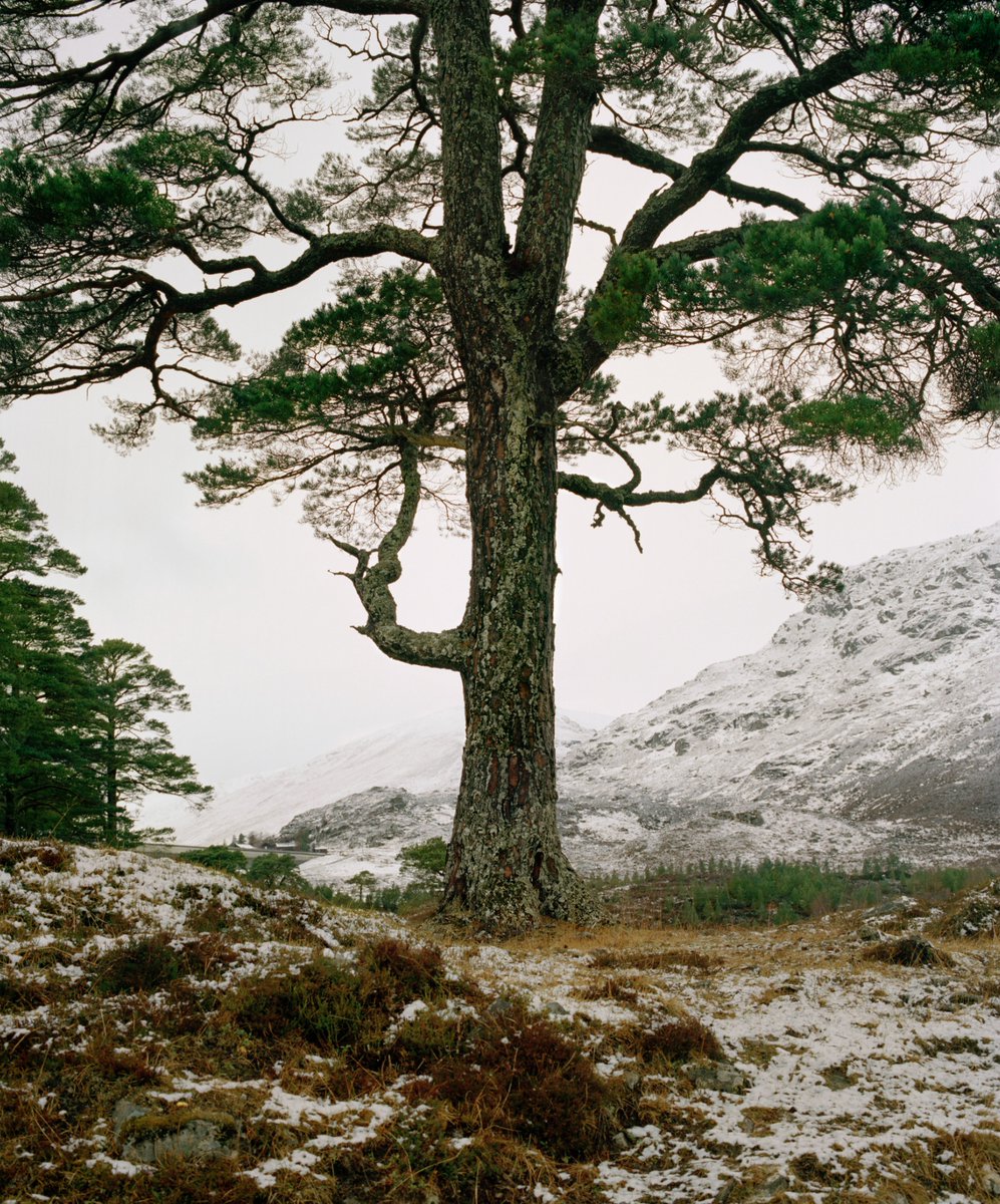 Anchorage Museum tweet media